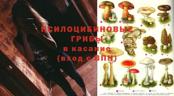 2c-b Покачи